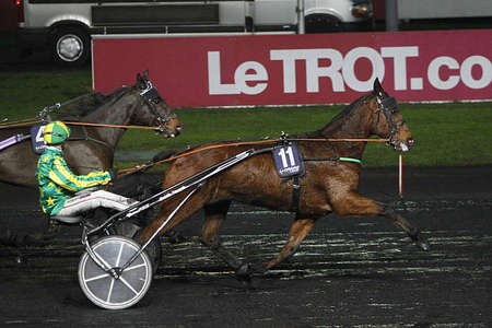 Actualités Hippiques